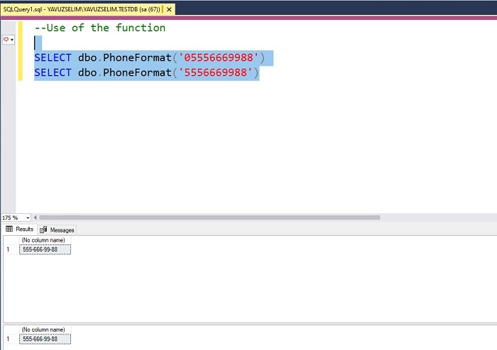 Phone Formatting Function in SQL Server