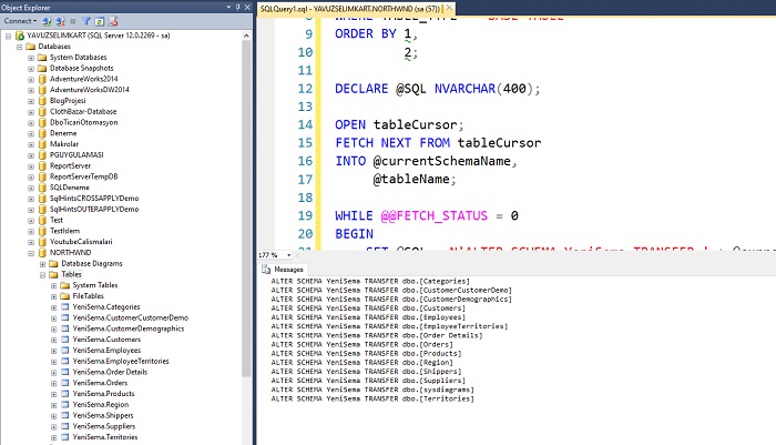 Cursor Changing Schema Name in SQL Server